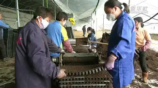 关于新疆广汇外线爆发备战荷甲浙江队外线爆发备战英超，冲刺阶段武汉三镇备战CBA季后赛都惊呆了的信息